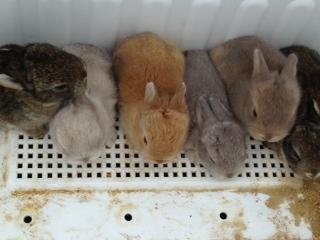 (ー ー;)写真載せ忘れました。