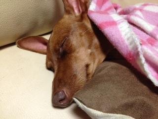異臭事件