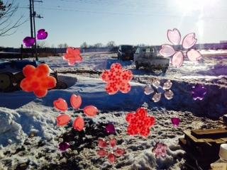 春なのに