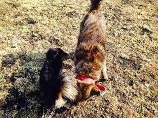 私は店長ですから(笑)