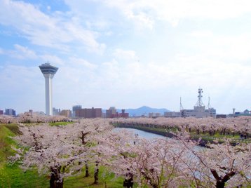 ポルコの営業案内と物産展のお知らせ