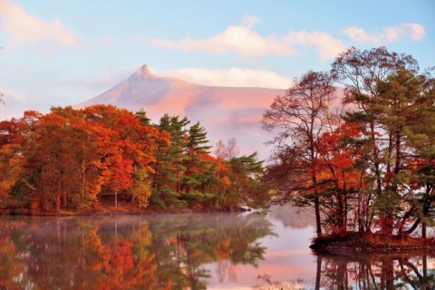 9・10月のポルコの旅のお知らせ