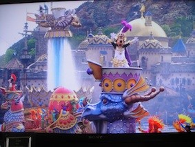 一目惚れ(≧∇≦)　シェリーメイ。