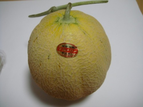 降参です、メロンさま┗(￣Д￣；)┛。
