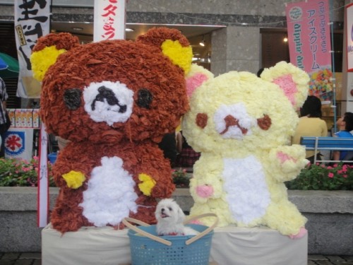 七夕祭り最終日 & ホコテン & 買い食い♪。