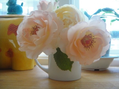 お水の花道に潜入。。。(*゜v゜*)