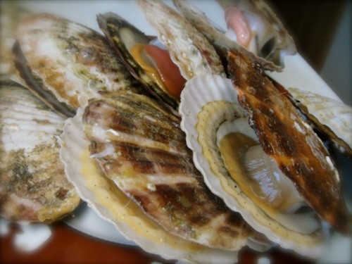 海からの贈り物(´ー`)