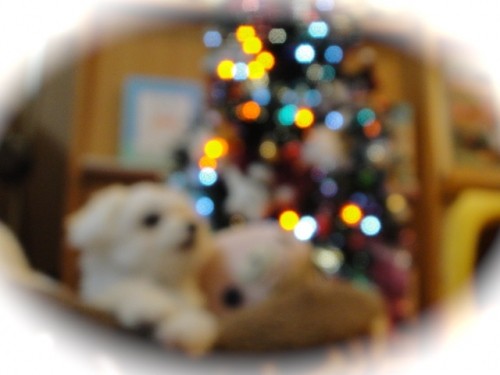 危機回避な夜。。。そしてお預けの(///ω///)♪♪