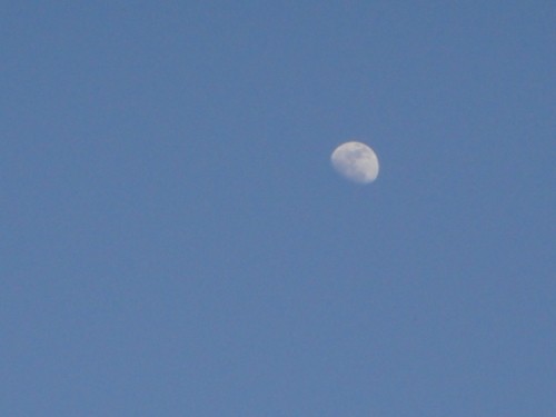 2011・4/14 (*'ー'*)♪