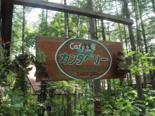 cafe カンタベリーさん♪で森林浴＼(^o^)／