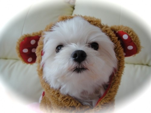 衝撃の木曜日( ̄x ̄;)・・日曜日(*^^*)・・・そして今日(* ̄ー ̄)。