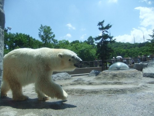旭山動物園～あの子に会いに
