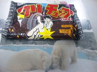 チロルとキロル？！