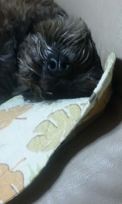 どっちが上？
