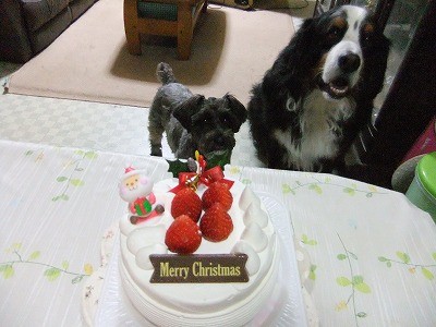 メリークリスマス