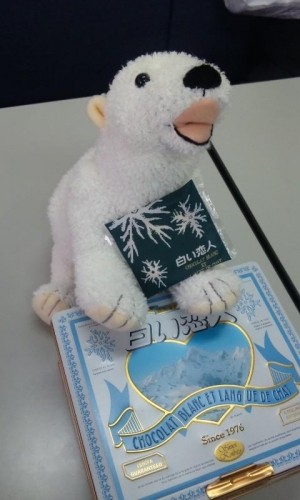 白い恋人♪