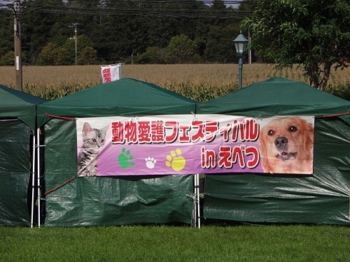 動物愛護フェスティバル