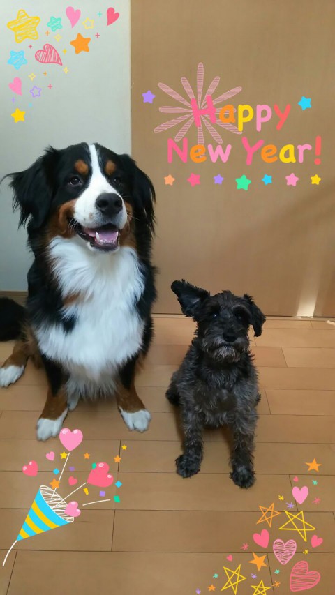 あけましておめでとうございます