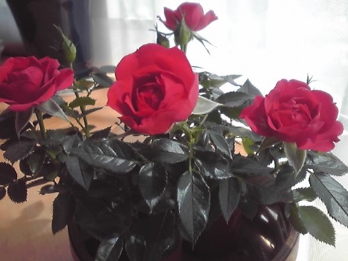 皆さま　ありがとうございました