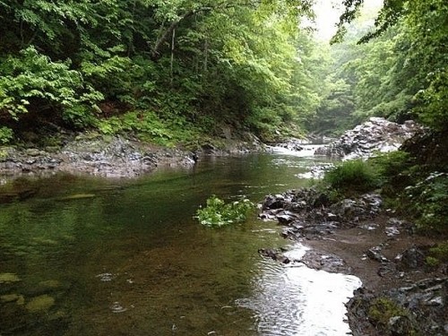 初夏の渓流釣り♪とマナー・・・