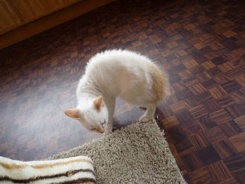 朗報!早くてびっくりーw(*゜o゜*)w