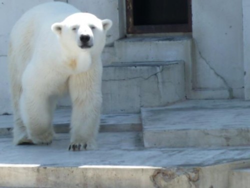 本当に、こんなのでいいですか？