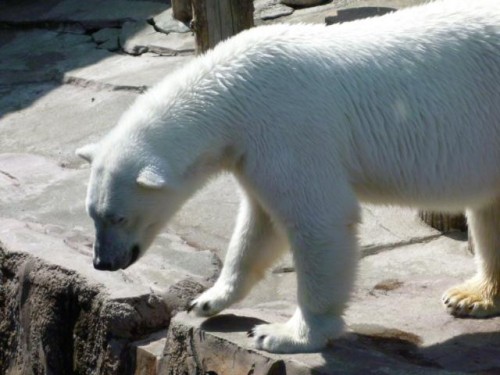 こんなんばっかり～