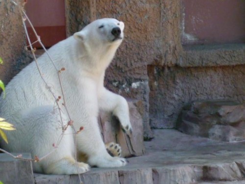 朝から疲れた…