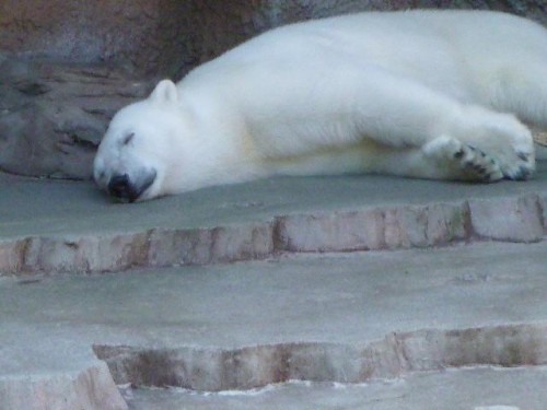 ごちそうさまでした♪