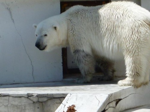 あなたのために…
