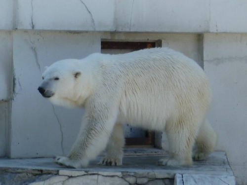 まだ、目が覚めないので…
