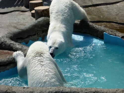 母は…厳しかった