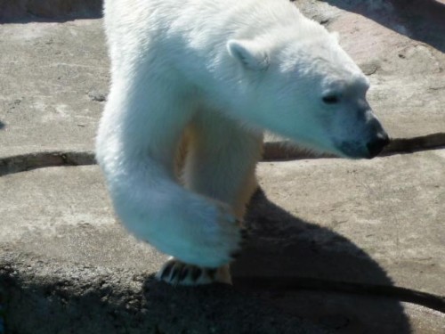 寝てしまいました