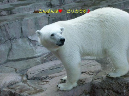 あなたのために…４