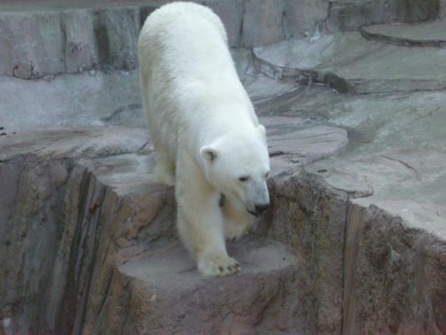 みんなわかってる？