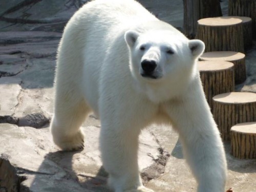 ごはんないの？