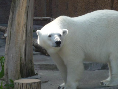 これで、いいのかしら？