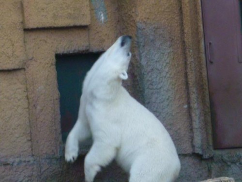 ネタが浮かばない…