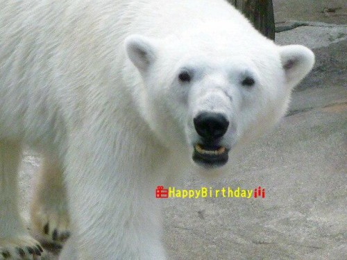 あなたのために…５