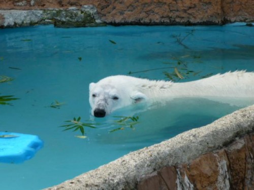 忘れてないかしら？