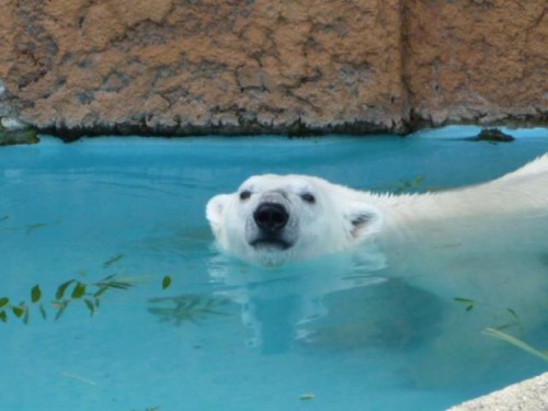 ピリカ予報～7 月2日