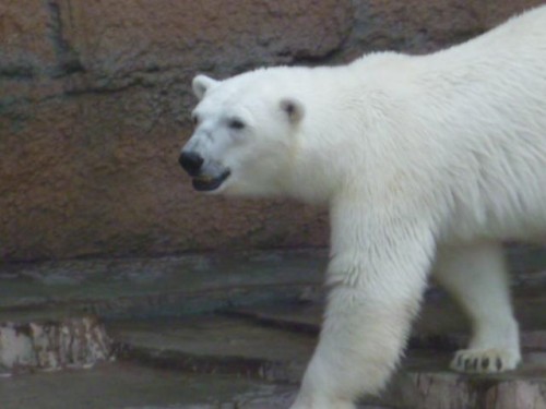 ピリカ予報～7 月3日