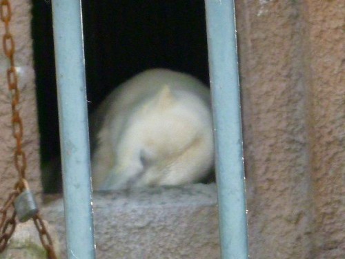 やっぱり気になる