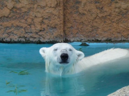 ピリカ姫～怒られる…の巻