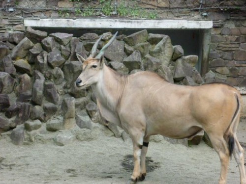 目を奪われた♪