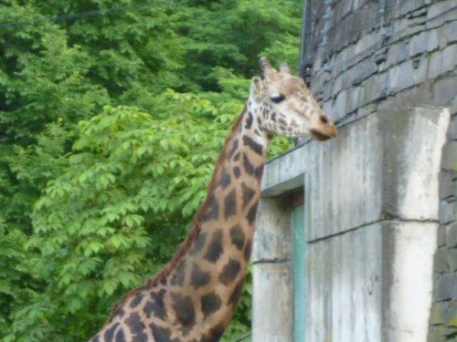 ひとりは寂しいね