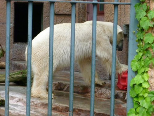円山・日曜劇場～父娘編～