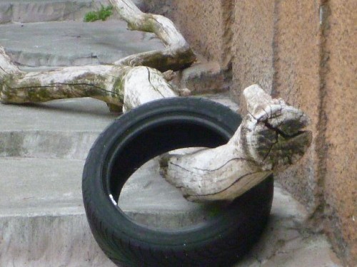 宝物～ピリカ～