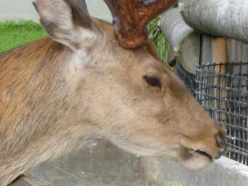 また、お会いしましたね♪