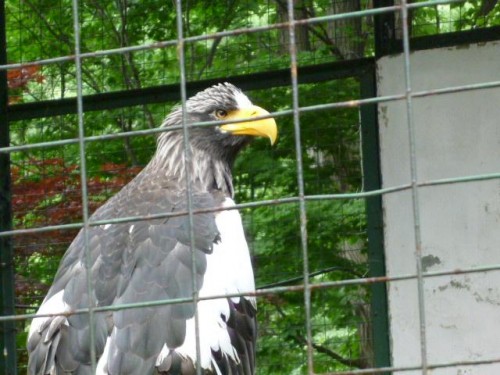 はじめての撮影